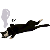 838151267