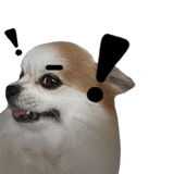 838151272