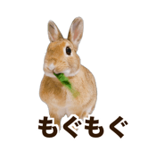838151394