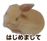 838151398
