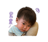838151519