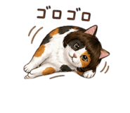838152034