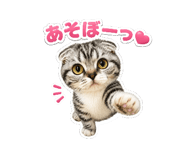 838155150
