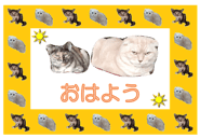 838155545