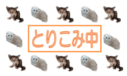 838155548