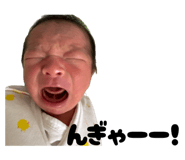 838156010