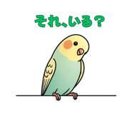 838156579