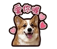 838157720