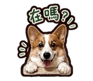 838157723
