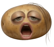 838159207
