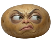 838159223