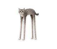 838159547