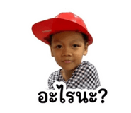 838160336