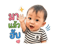 838161244