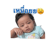 838162532
