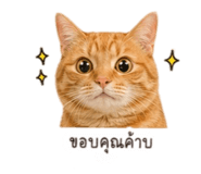 838162669