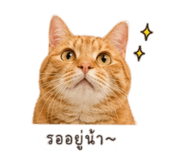 838162671