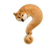 838164361