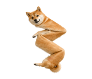 838164366