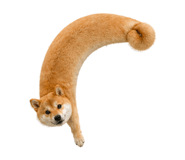 838164367