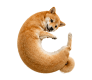 838164368