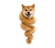 838164369