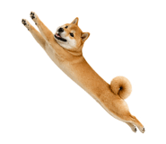 838164373
