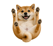 838164375