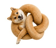 838164376