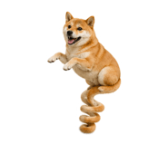 838164384