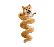 838164387