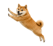 838164392