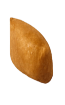 838169337
