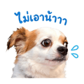 838169557