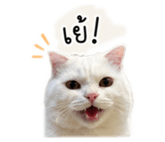 838171480