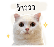 838171488