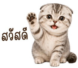 ลายที่ 1