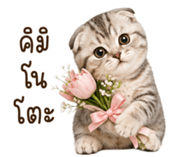 ลายที่ 7