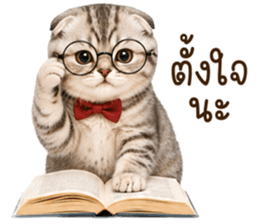 ลายที่ 8