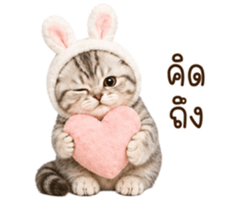 ลายที่ 11