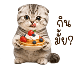 ลายที่ 15