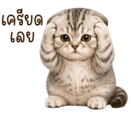 ลายที่ 18