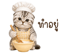 ลายที่ 20