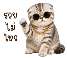 ลายที่ 21