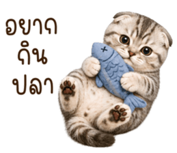 ลายที่ 27
