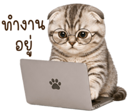 ลายที่ 29