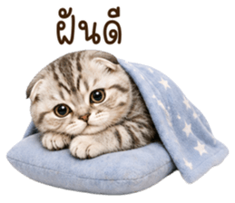 ลายที่ 32