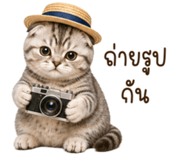 ลายที่ 33