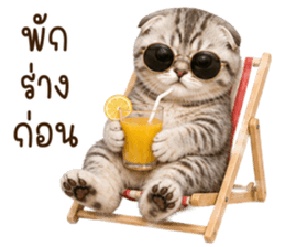 ลายที่ 35