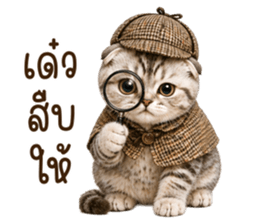 ลายที่ 37